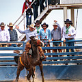 Bronc Action