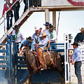 Bronco Riding Time