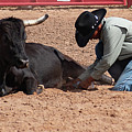 Cowboy steer friends