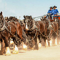 Stagecoach